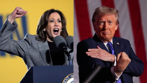 Харрис, Трамп нар 